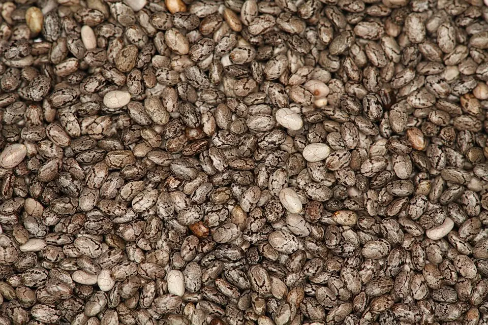 Graines de chia en gros plan