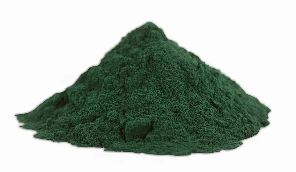 Poudre de spiruline